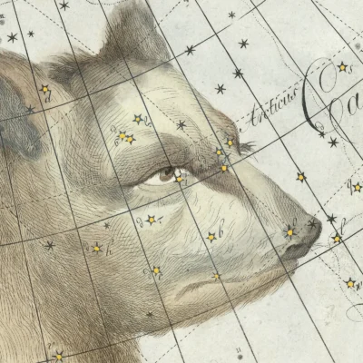 Ursa Major wall art detail print