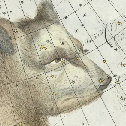 Ursa Major wall art detail print