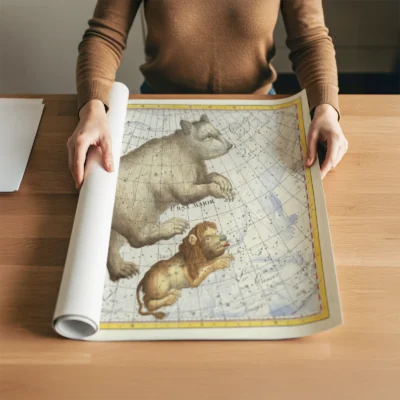 Ursa Major wall art rolled print