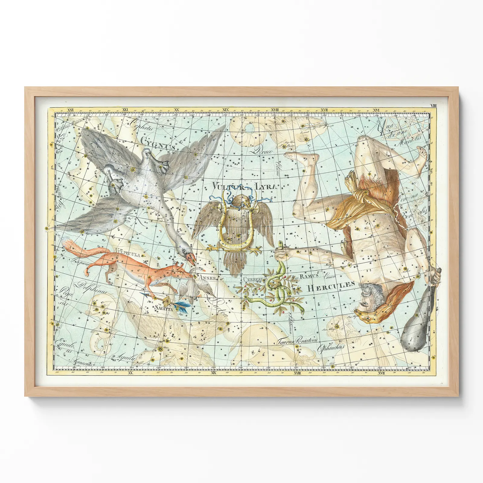 Cygnus constellation vintage wall art poster