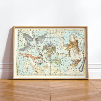 Cygnus constellation framed wall print