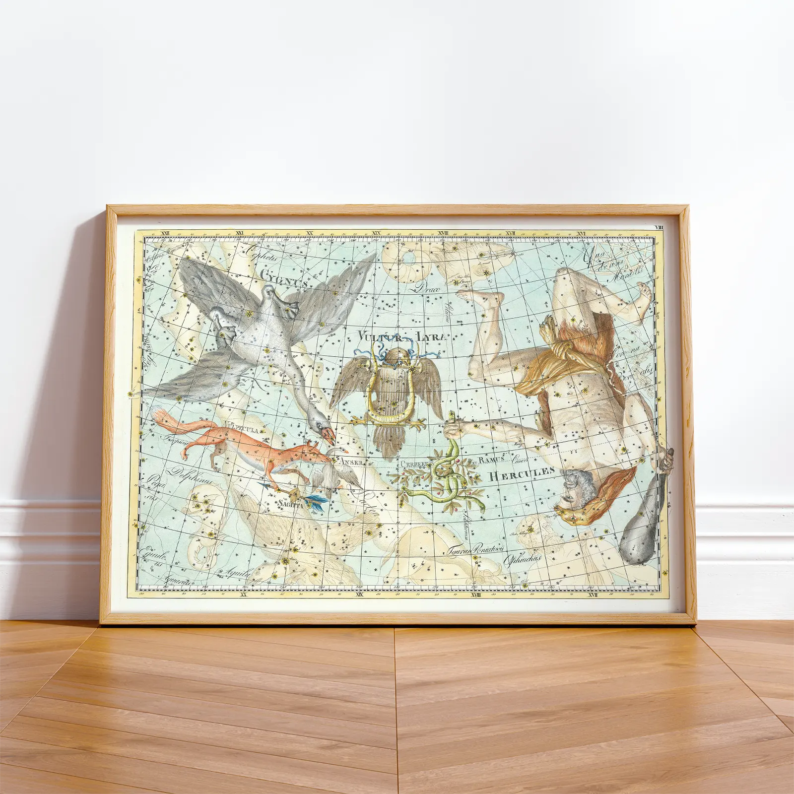 Cygnus Constellation Poster – Vintage Celestial Wall Art