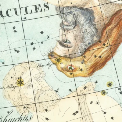 Cygnus constellation zodiac detail print