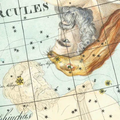 Cygnus constellation zodiac detail print
