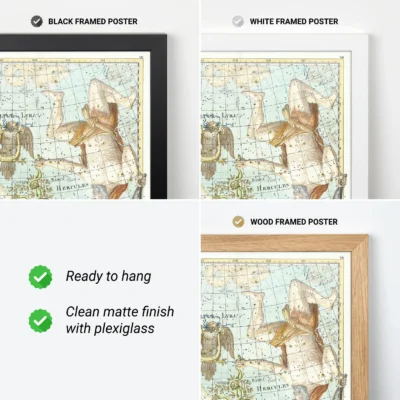 Cygnus constellation framed poster options
