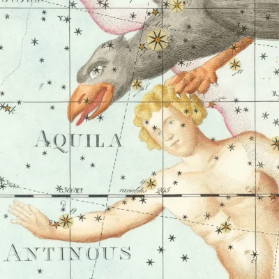Ophiuchus constellation zodiac detail print