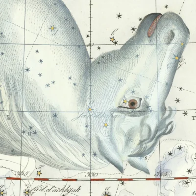 Pegasus constellation poster detail print