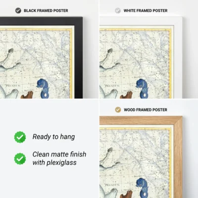 Pegasus constellation poster frame options