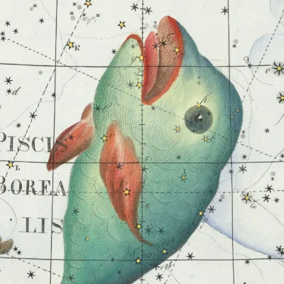 Pisces constellation zodiac detail print