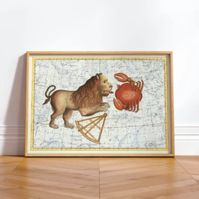 Leo constellation framed wall print