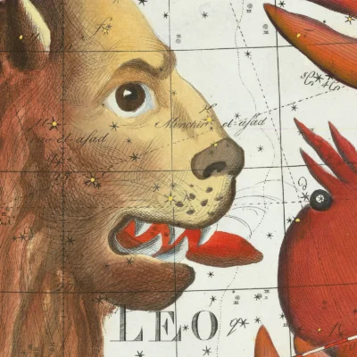 Leo constellation zodiac detail print