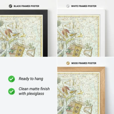 Phoenix constellation framed poster options