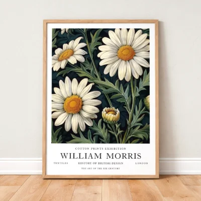Daisy poster framed botanical print