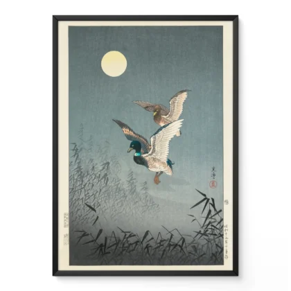 Koitsu Tsuchiya – Ducks Wall Art