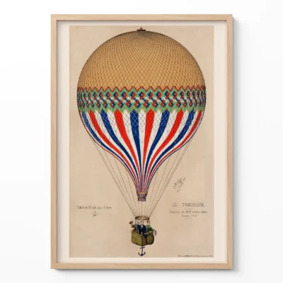Tricolore Balloon Wall Art