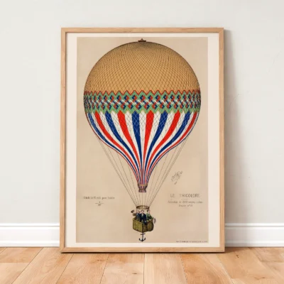 Tricolore Balloon Wall Art