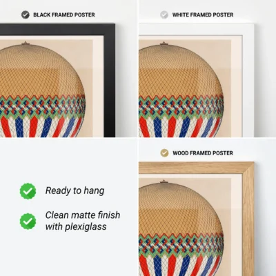 Tricolore Balloon Wall Art