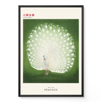 Peacock by Ohara Koson