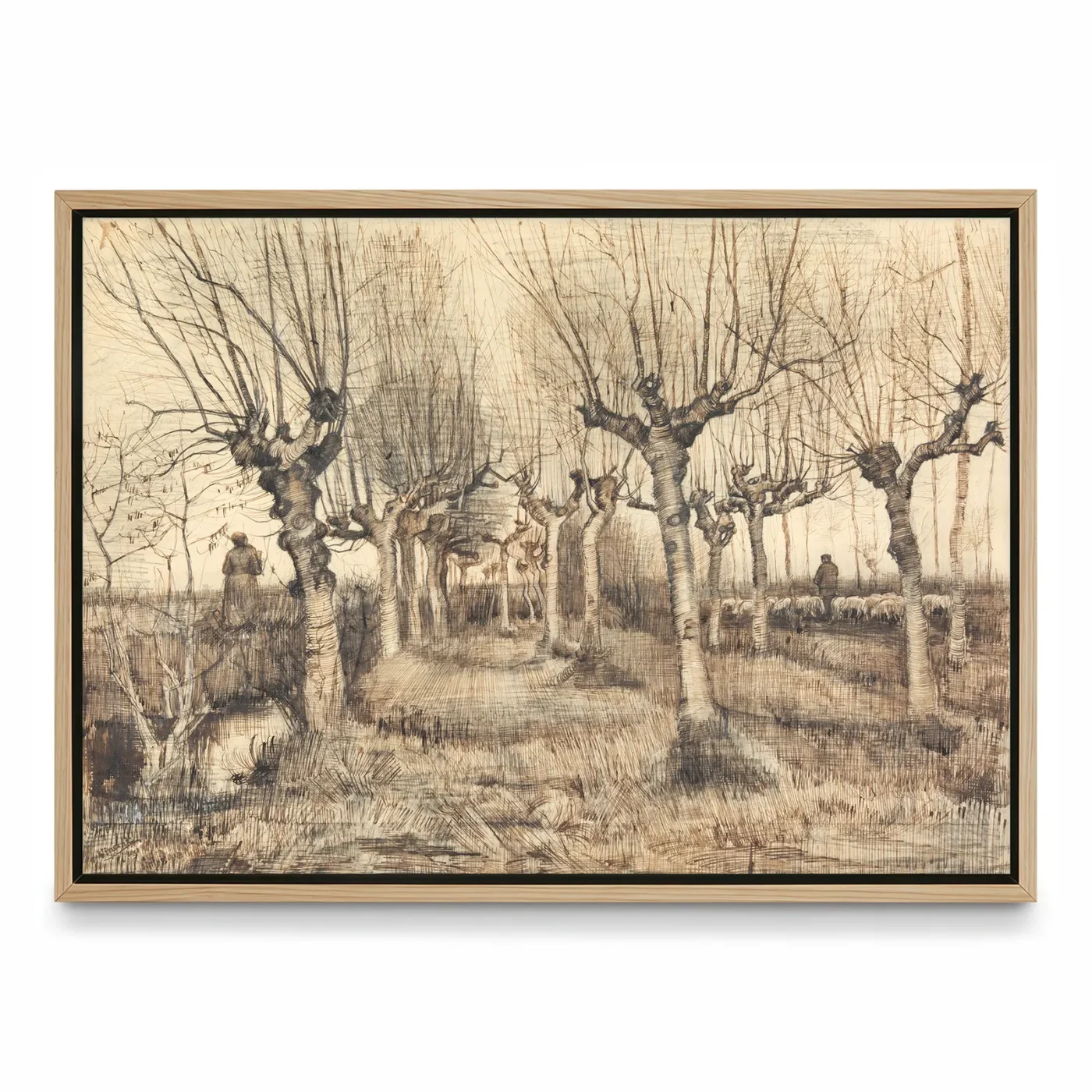 Vincent van Gogh Wall Art – Pollard Birches
