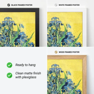 Vincent van Gogh Wall Art – Irises