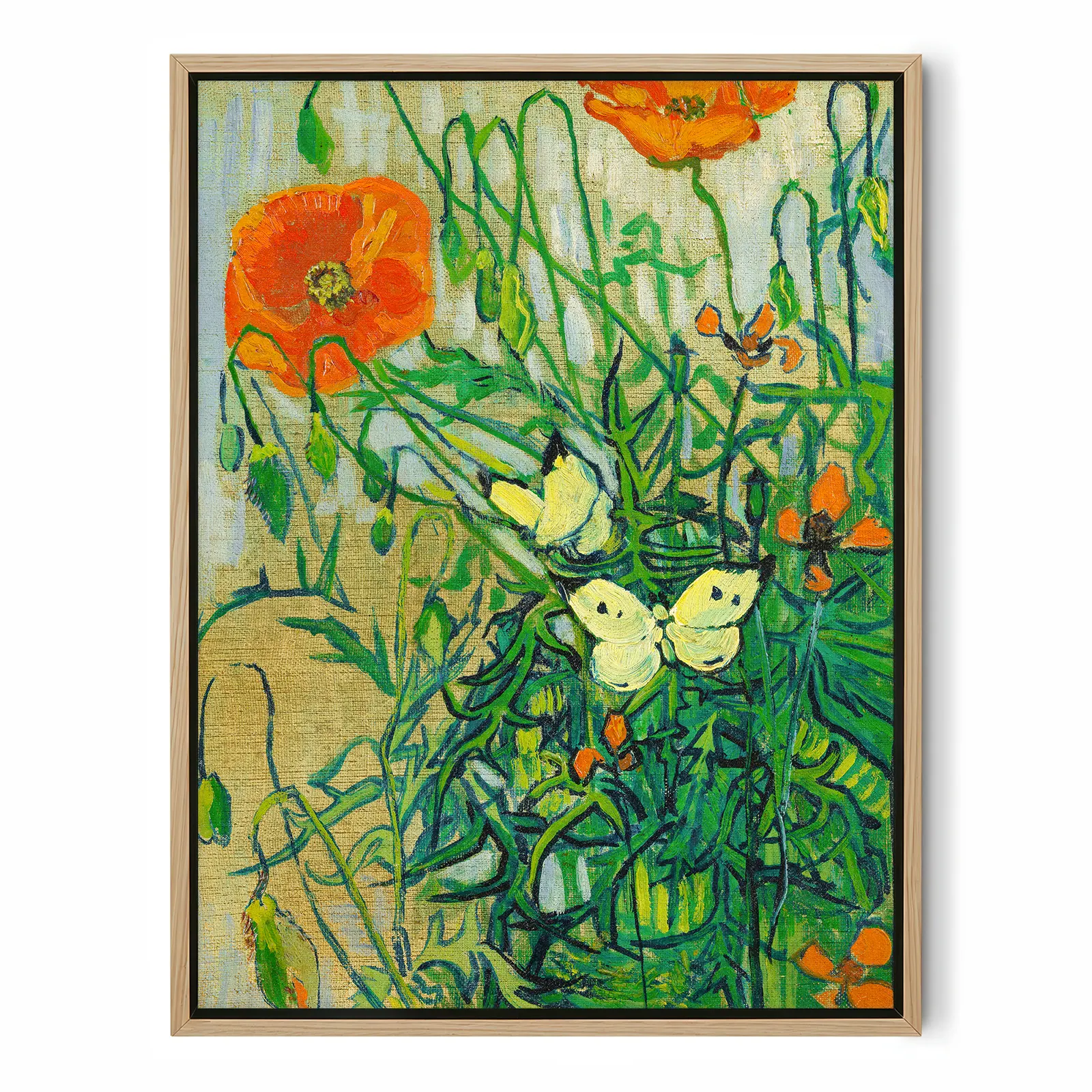Vincent van Gogh paveikslas – Drugeliai ir aguonos