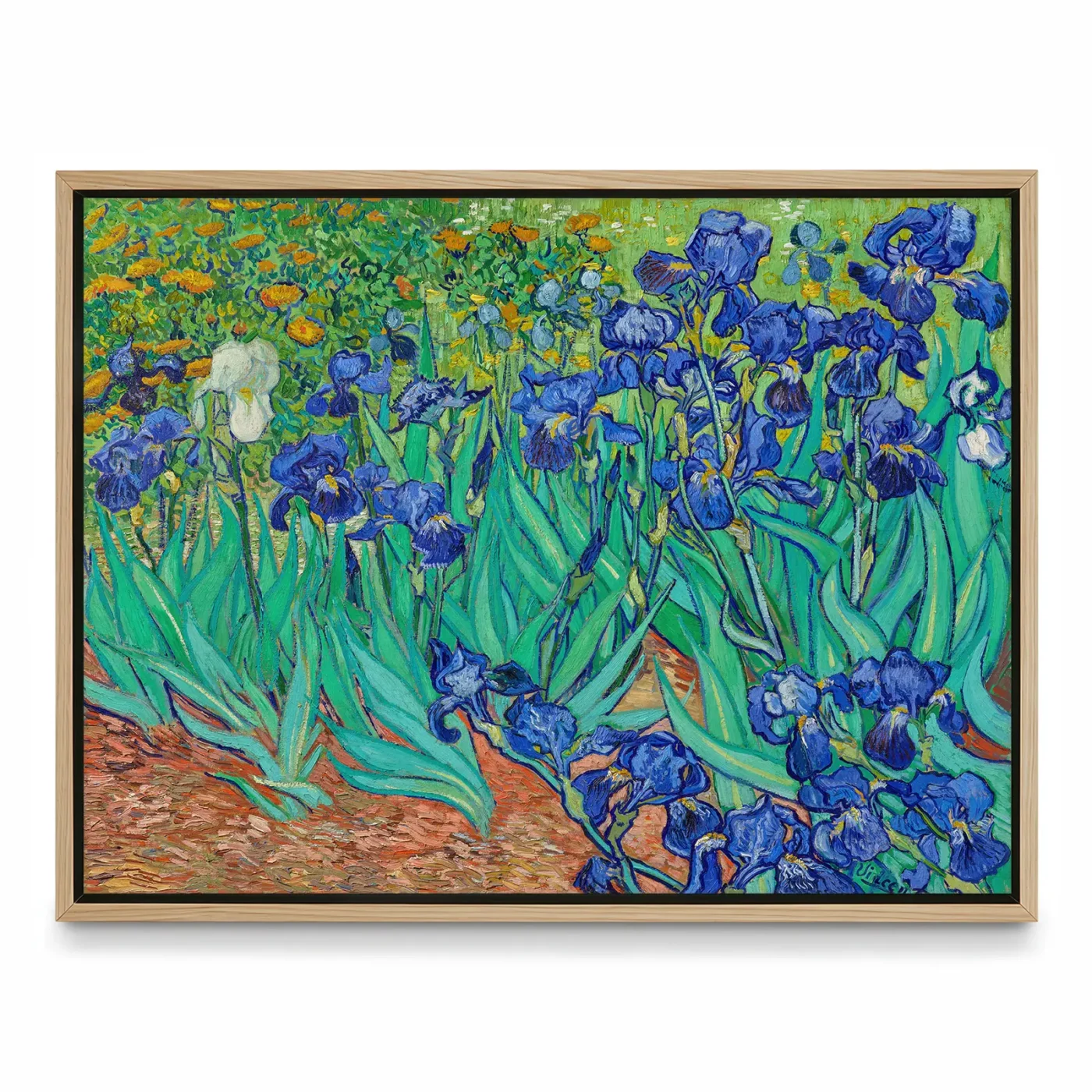 Vincent van Gogh Wall Art – Irises in the Garden