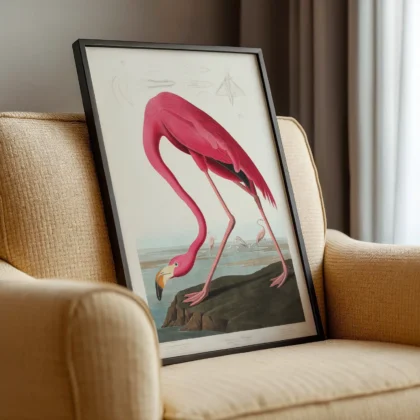 Audubon - Pink Flamingo from Birds of America Print