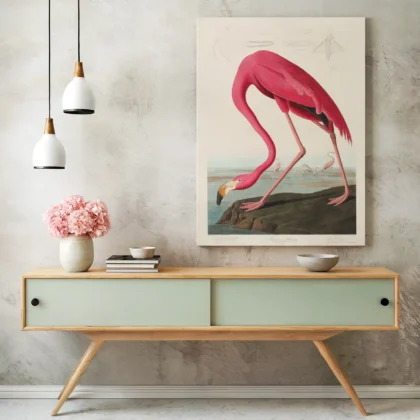 Audubon - Pink Flamingo from Birds of America Print