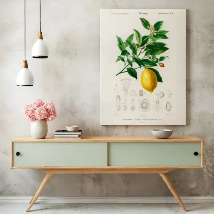 Vintage Lemon Print – Botanical Illustration Poster