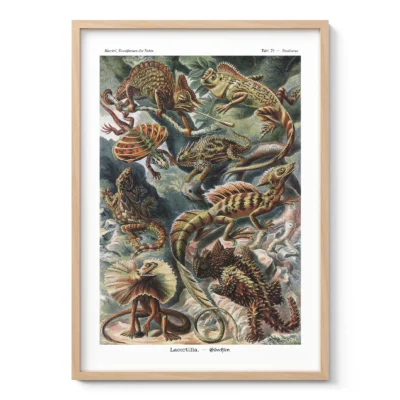 Reptilien – Ernst Haeckel Wandbild