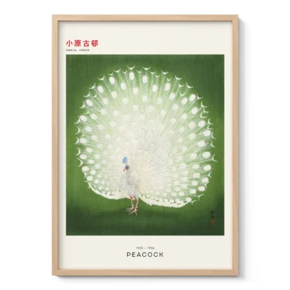 Peacock by Ohara Koson