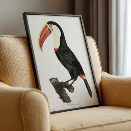 Toucan Print by Jacques Barraband