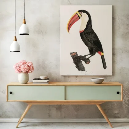 Toucan Print by Jacques Barraband