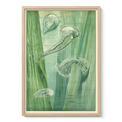 Vintage Micro Organisms Poster