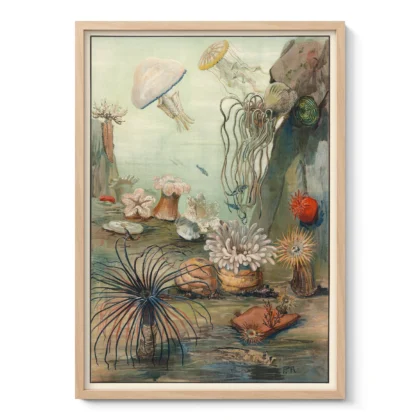 Vintage Sea Life Wall Art – Sea Anemones Poster