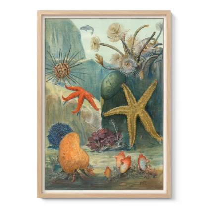 Vintage Marine Life Wall Art – Starfish & Sea Urchins Ocean Poster