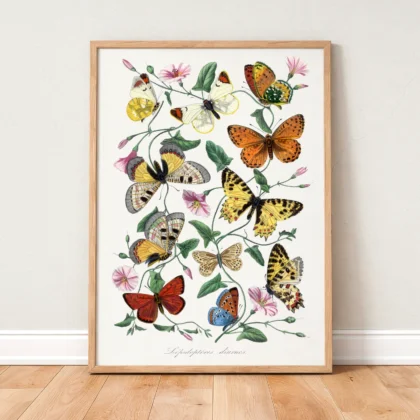 Framed vintage butterfly print with natural wood frame