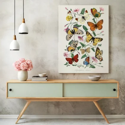 Vintage butterfly wall art displayed in a bright interior