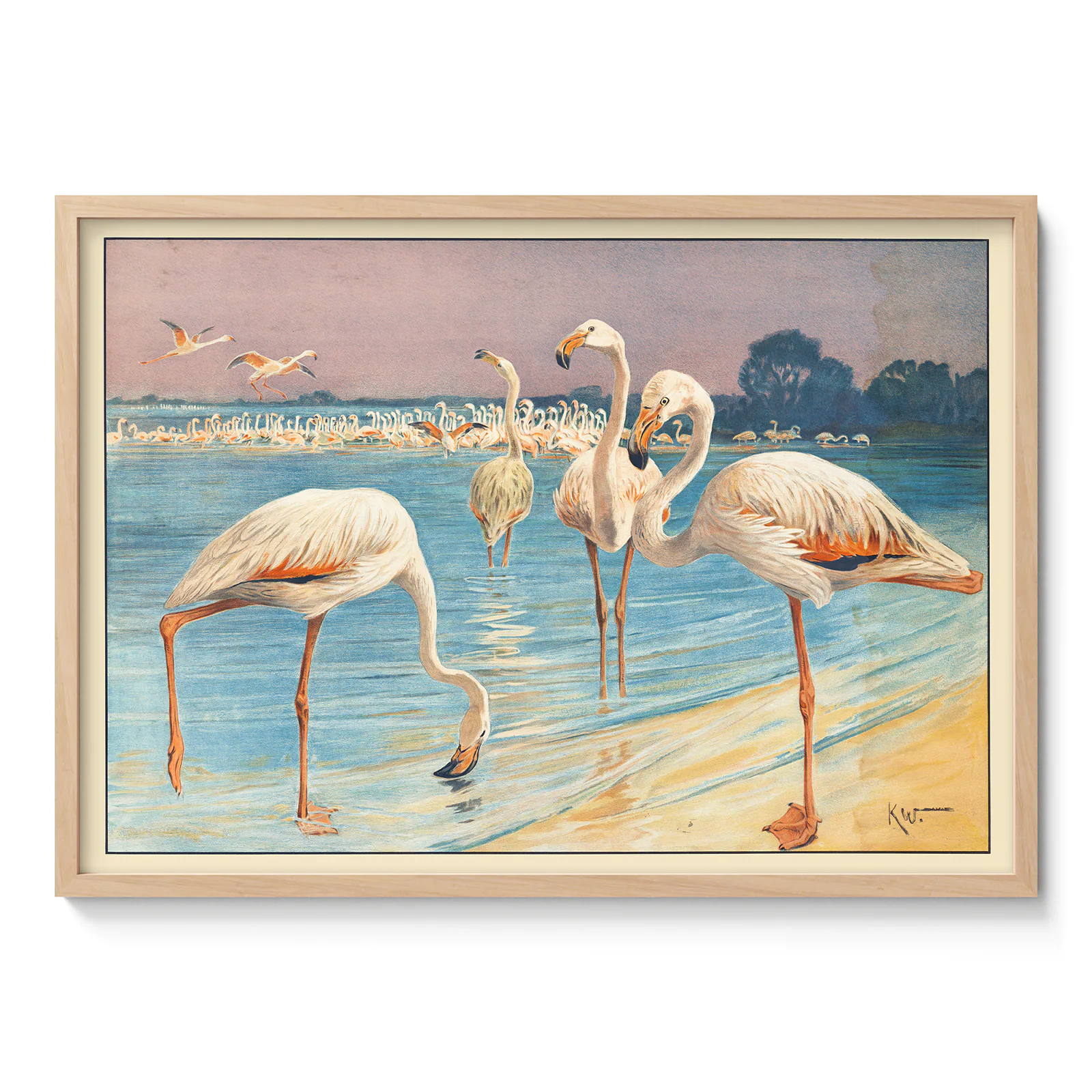 Flamingo Poster – Vintage Bird Art Print