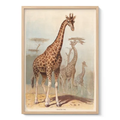 Giraffe Print – Vintage African Safari Poster