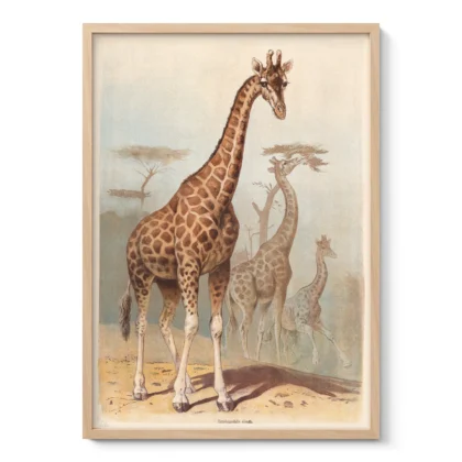 Giraffe Print – Vintage African Safari Poster