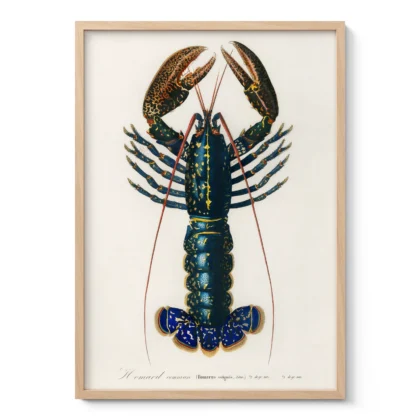 Vintage Lobster Wall Art Print