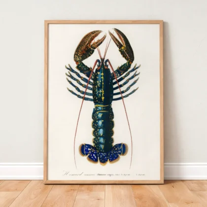 Vintage Lobster Wall Art Print
