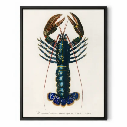 Vintage Lobster Wall Art Print