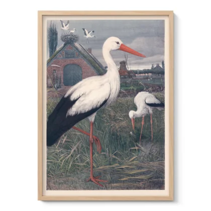 Stork Poster – Vintage Bird Wall Art