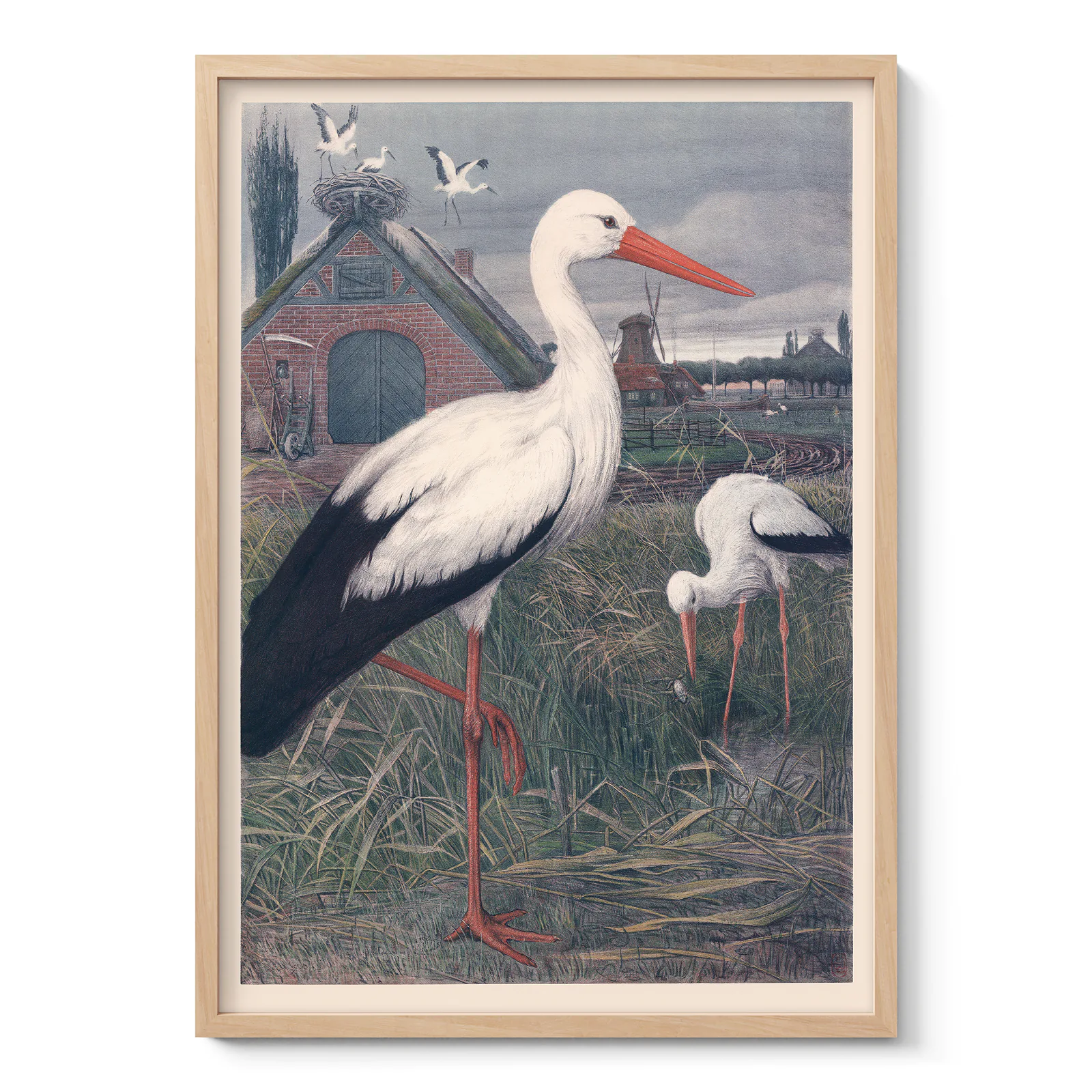 Stork Poster – Vintage Bird Wall Art
