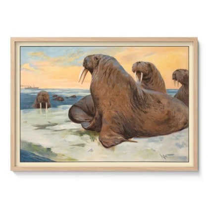 Walrus Poster – Vintage Arctic Animal Wall Art