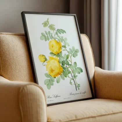 Vintage Botanical Yellow Rose Wall Art – Pierre-Joseph Redoute