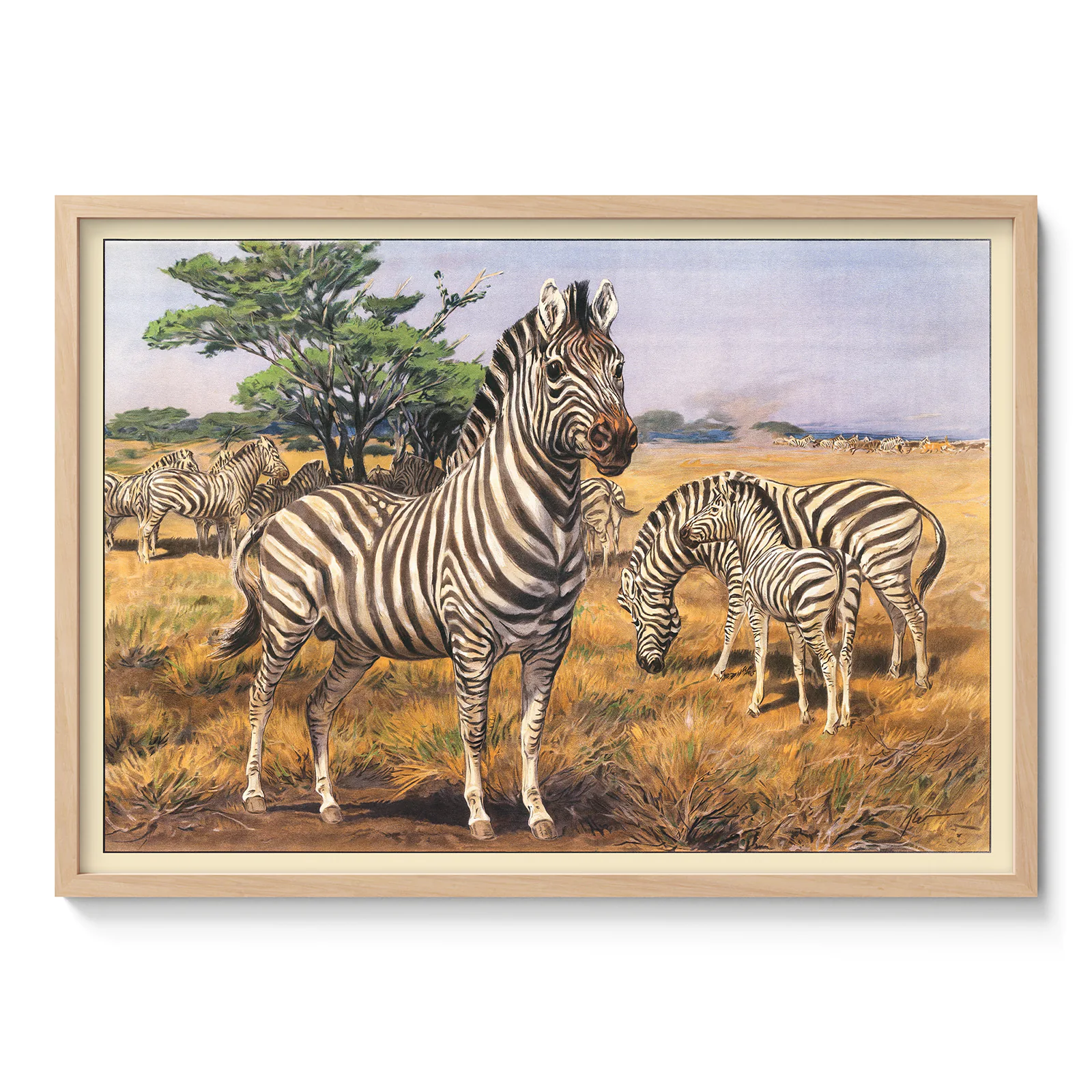 Vintage Zebra Poster – Savanna Wall Art Print