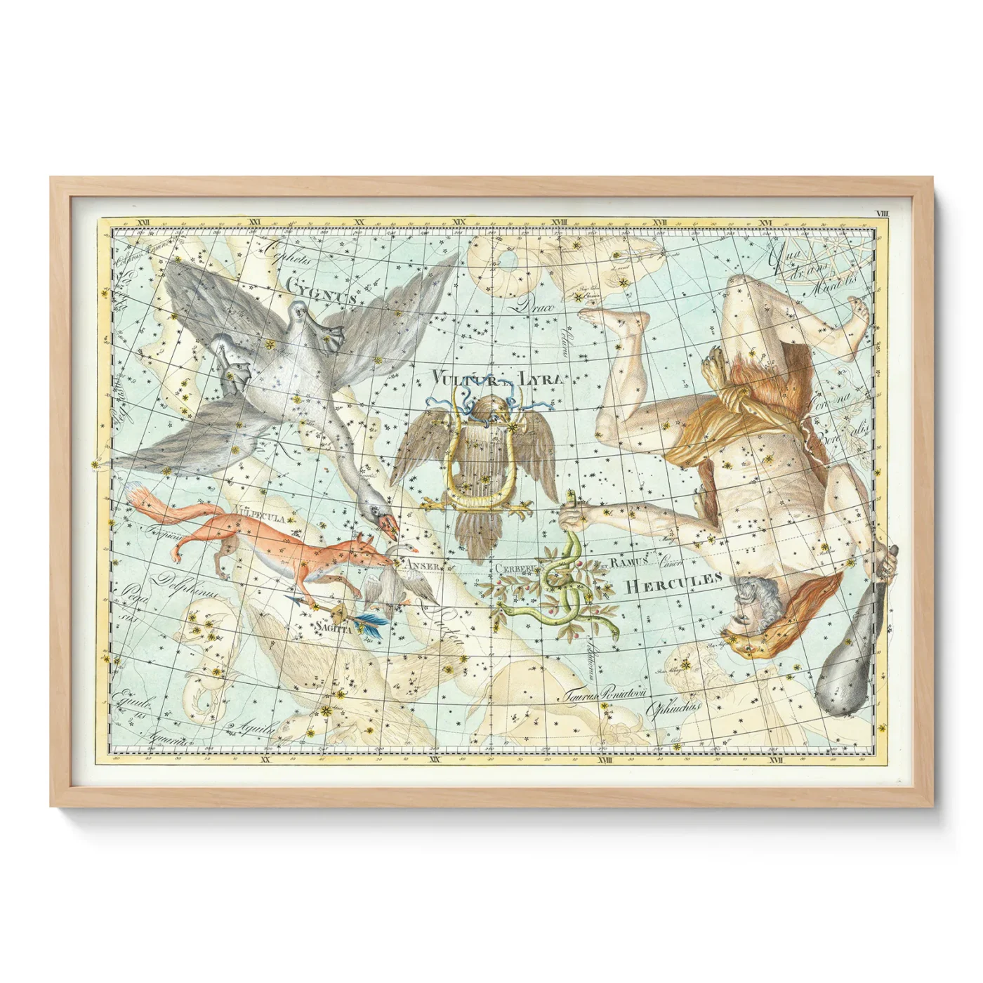 Wandbild – Sternbild Schwan